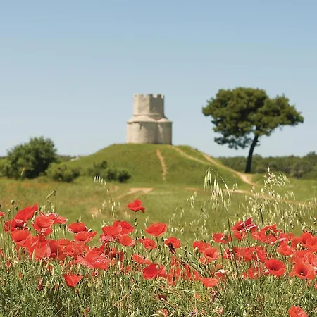 Apartamento Awesome In With Wifi *