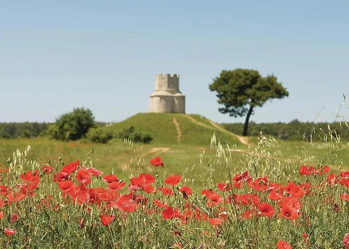 Apartamento Awesome In With Wifi *